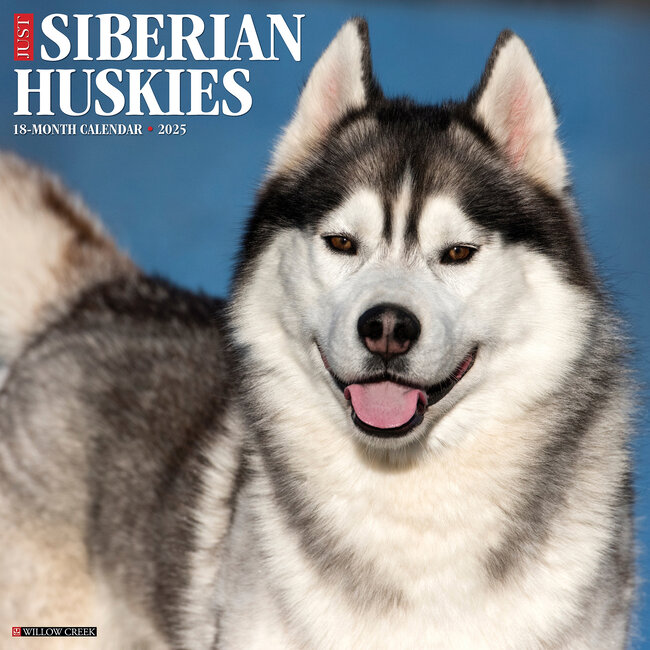 Calendario Husky Siberiano 2025