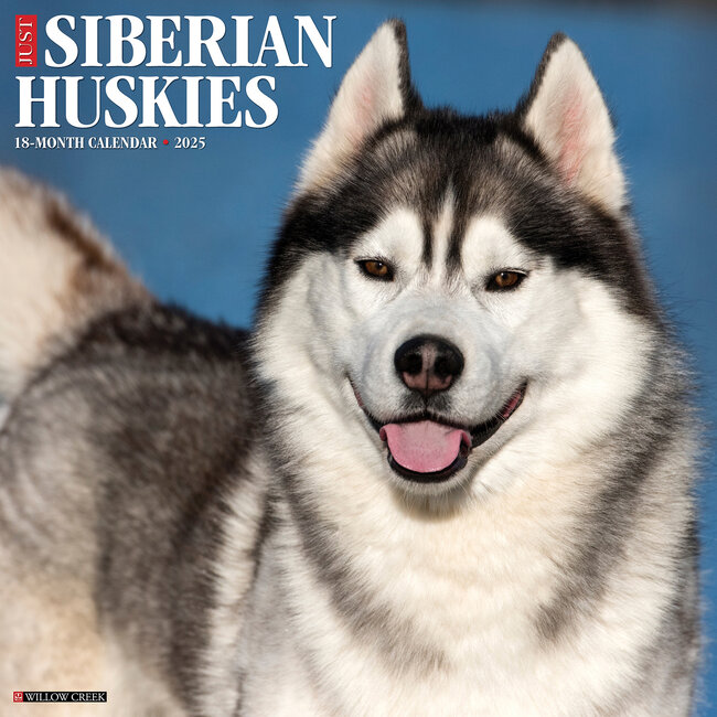 Willow Creek Calendario Siberian Husky 2025