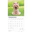 Calendario Yorkshire Terrier 2025