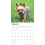 Calendario Yorkshire Terrier 2025