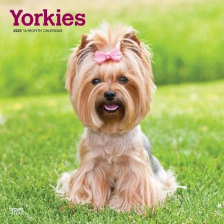 Browntrout Calendario Yorkshire Terrier 2025
