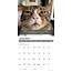 Snapcats Kalender 2025