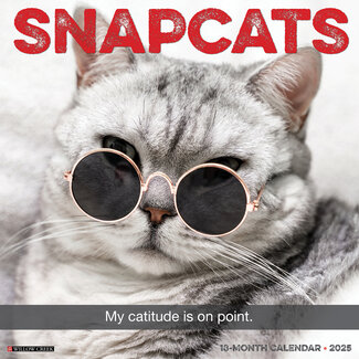 Willow Creek Calendario Snapcats 2025