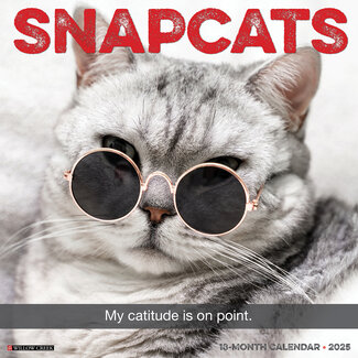 Willow Creek Calendrier Snapcats 2025