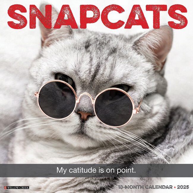 Calendrier Snapcats 2025