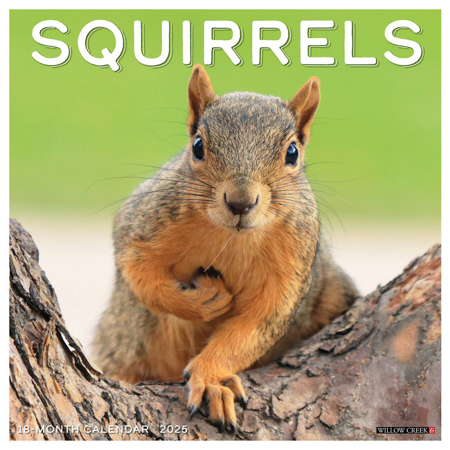 Willow Creek Squirrel Calendar 2025