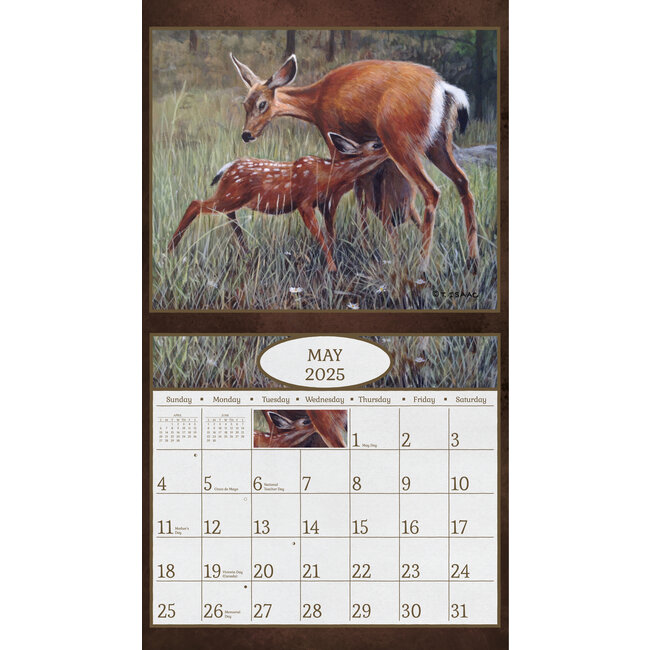 Hirsche im Wald Kalender 2025