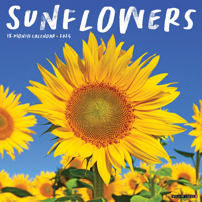 Willow Creek Sunflower Calendar 2025