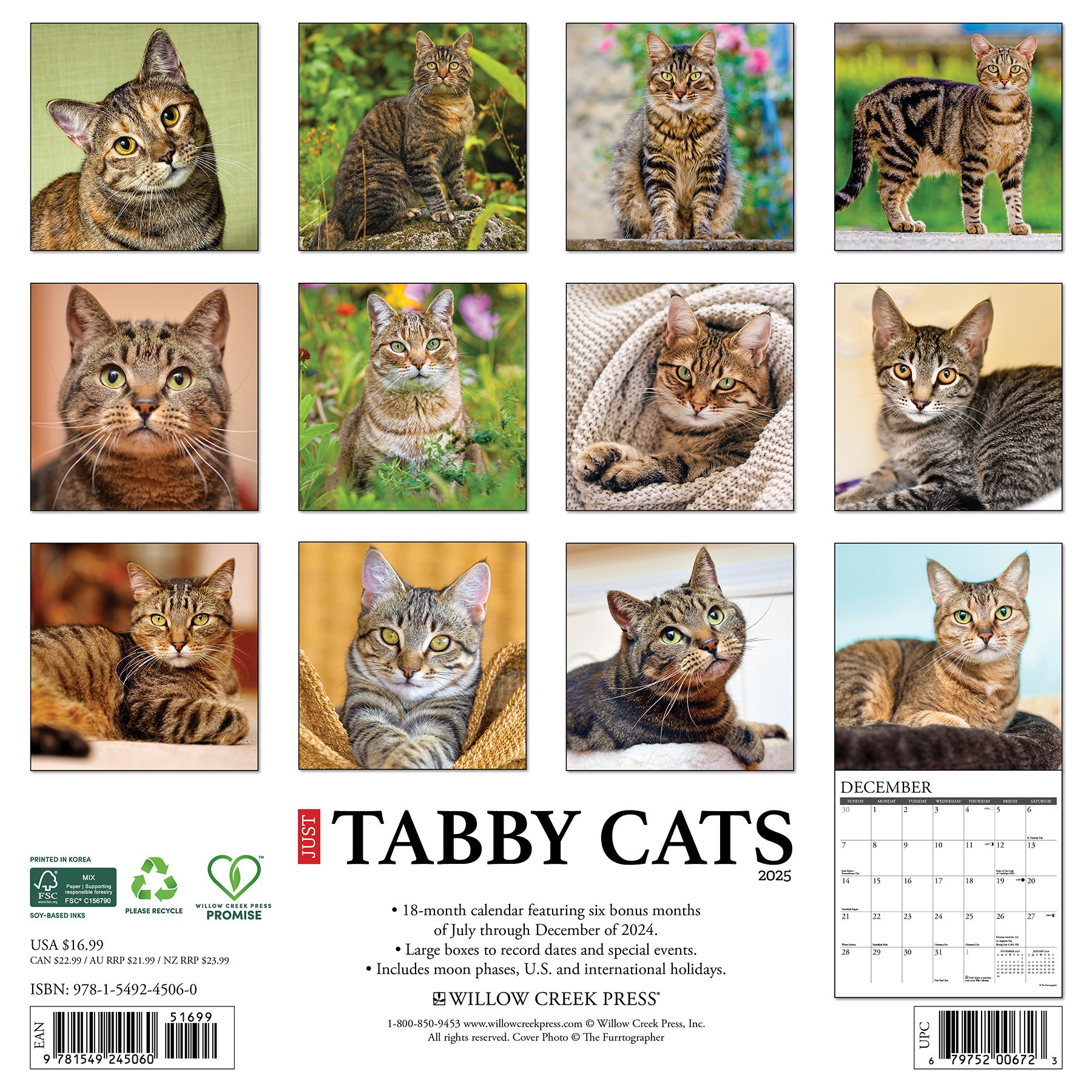 Tabby Katten Kalender 2025 Kopen? Bestel eenvoudig Online
