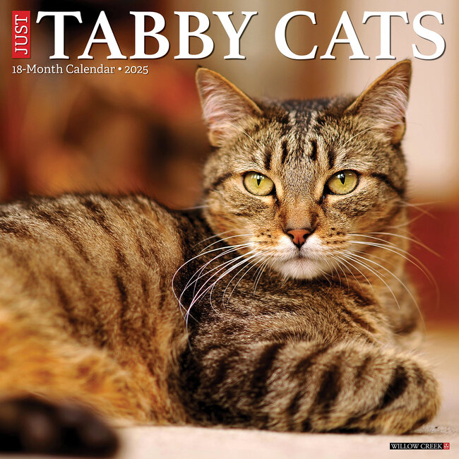 Tabby-Katzen Kalender 2025