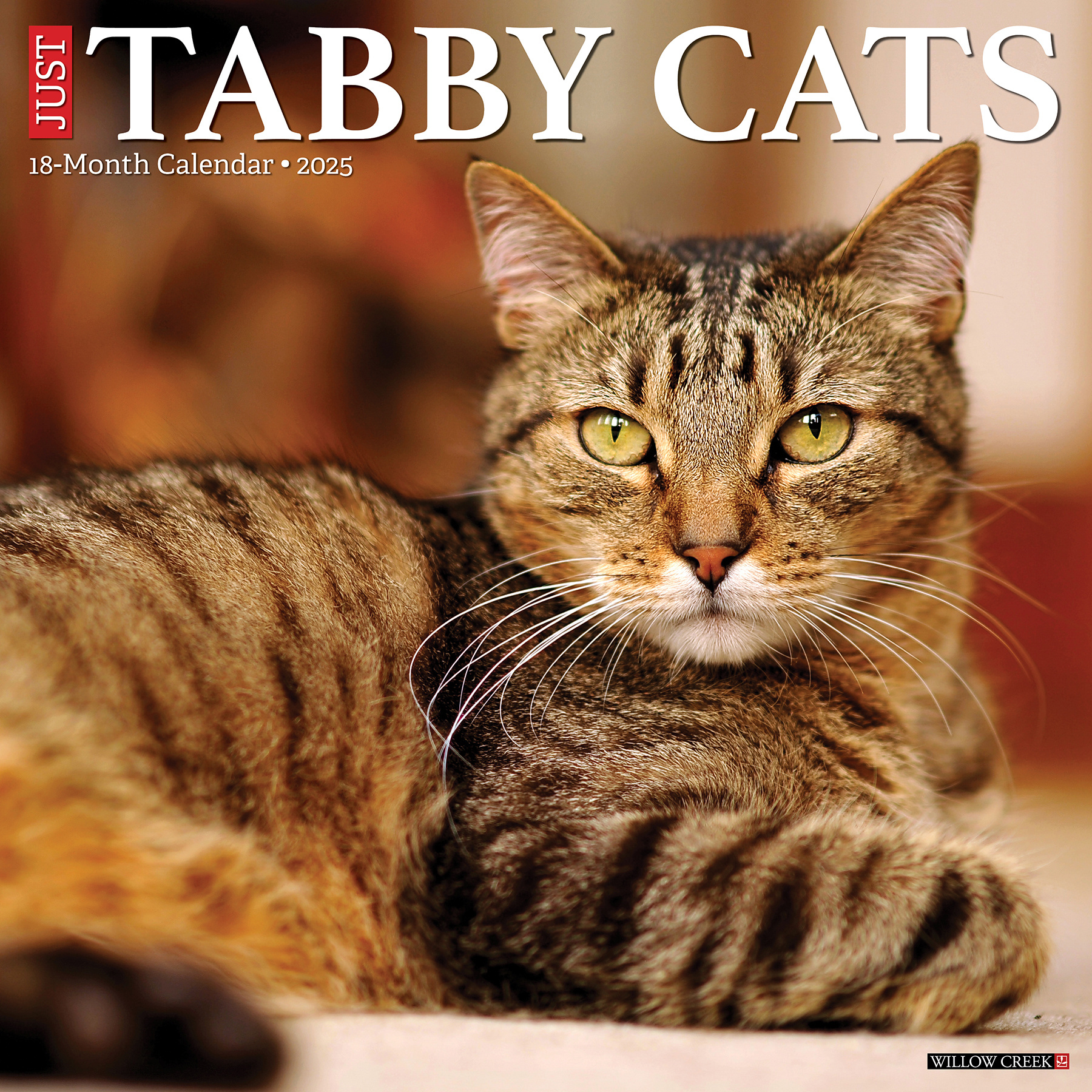 Tabby Katten Kalender 2025 Kopen? Bestel eenvoudig Online