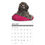 Toy and Miniature Poodle Calendar 2025