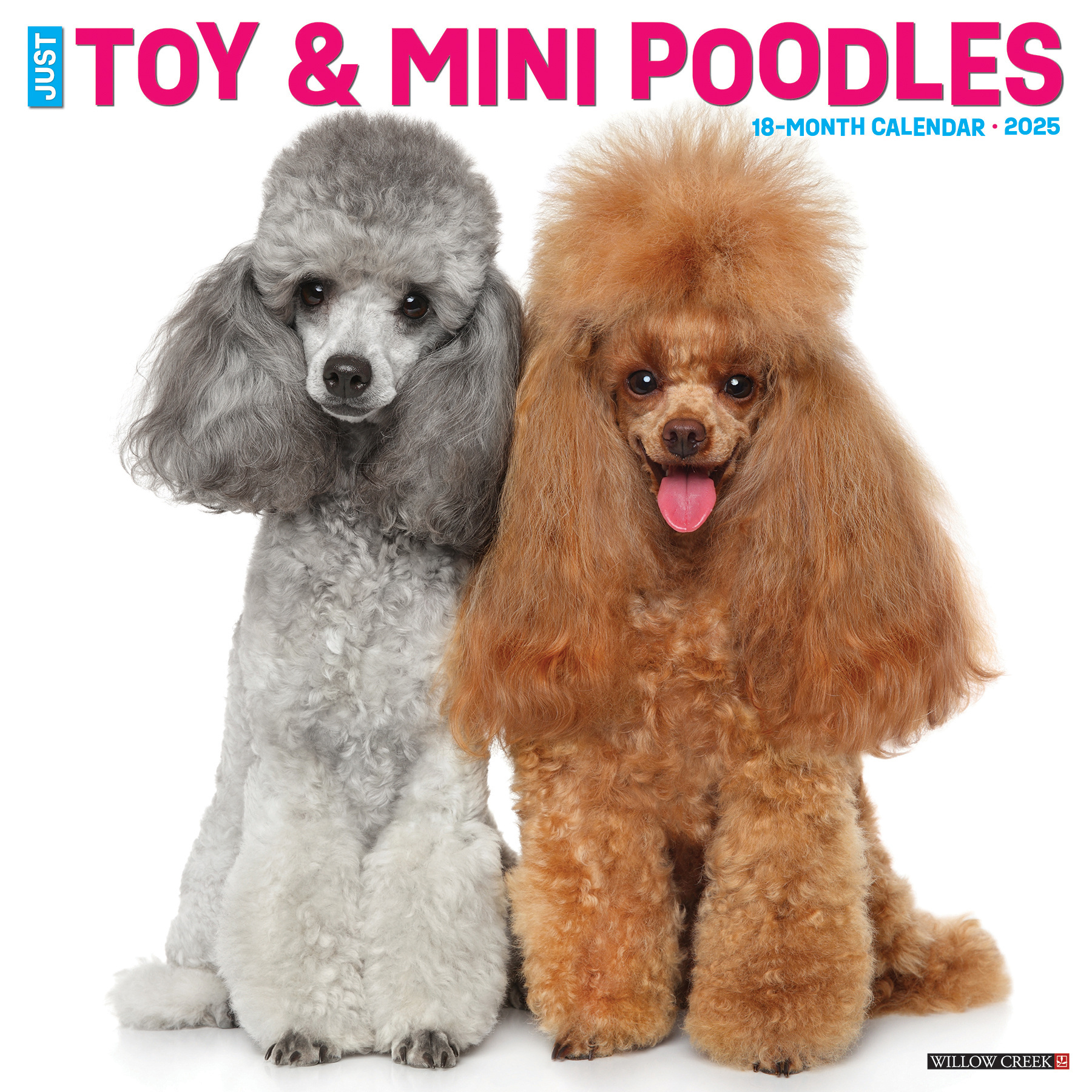 Acheter le calendrier caniche toy et caniche nain 2025 commander simplement en ligne