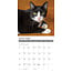 Tuxedo-Katzen Kalender 2025