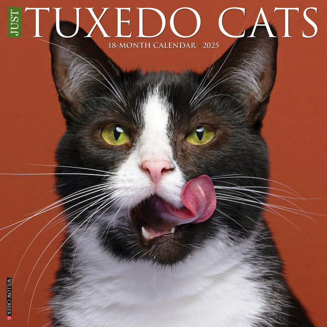Tuxedo Cats Calendar 2025