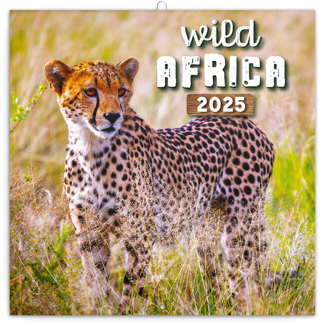 Calendrier de l'Afrique sauvage 2025