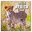 Wild Africa Calendar 2025