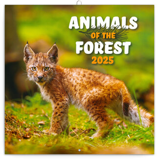 Presco Calendario Animali della foresta 2025
