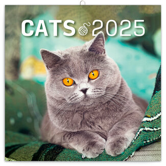 Presco Calendario dei gatti 2025