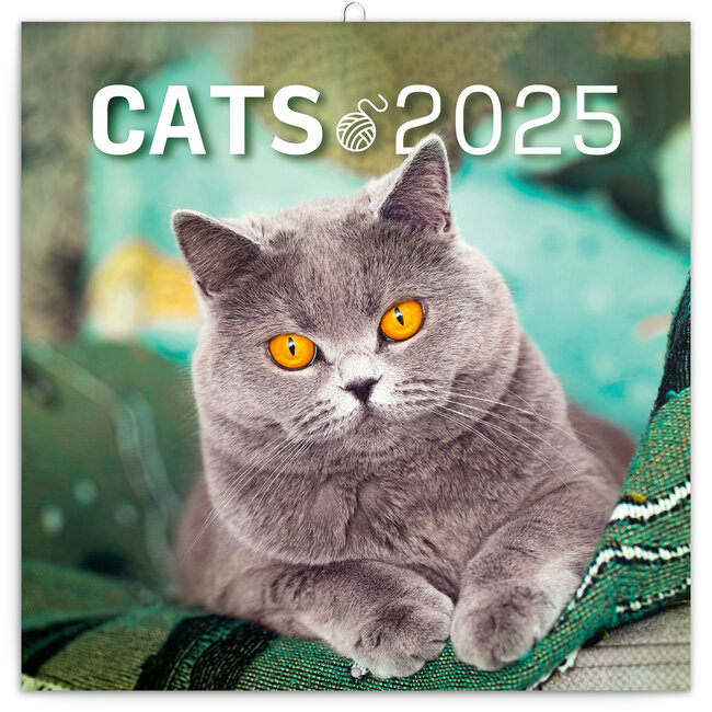 Calendrier des chats 2025