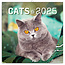 Presco Cats Calendar 2025