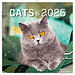 Presco Katzen Kalender 2025