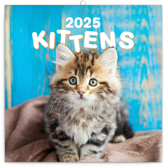 Presco Kätzchen Kalender 2025