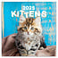 Calendrier des chatons 2025