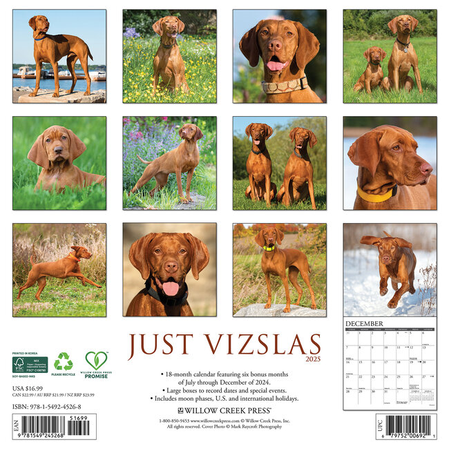 Comprar Calendario Vizsla 2025 Orden fácilmente en línea