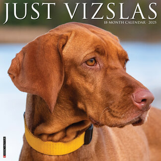 Willow Creek Calendrier Vizsla 2025