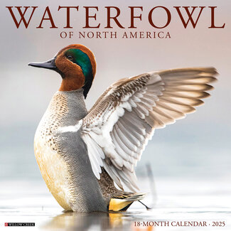 Willow Creek Calendario degli uccelli acquatici 2025