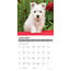 Calendario dei cuccioli di West Highland White Terrier 2025