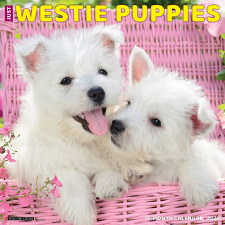 Willow Creek Calendrier des chiots du West Highland White Terrier 2025