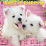 Calendrier des chiots du West Highland White Terrier 2025