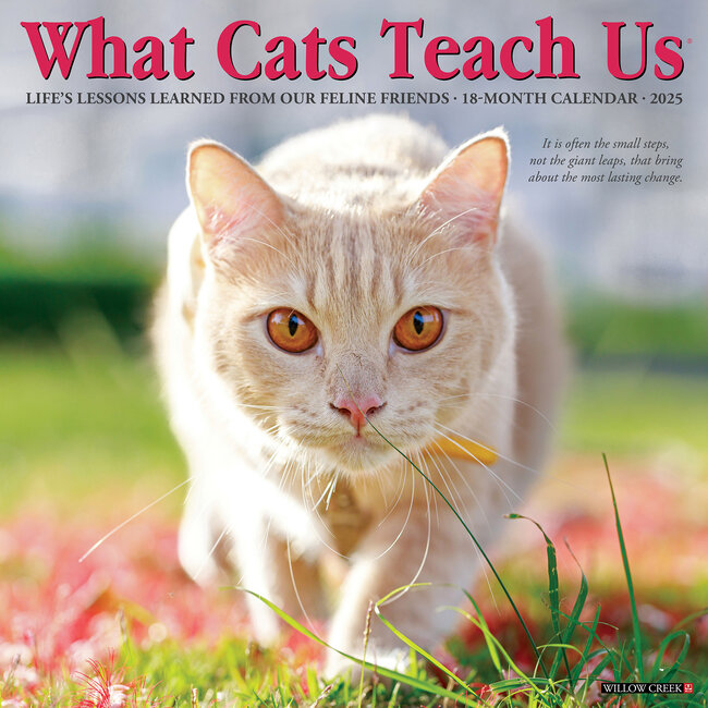 Lo que los gatos nos enseñan Calendario 2025