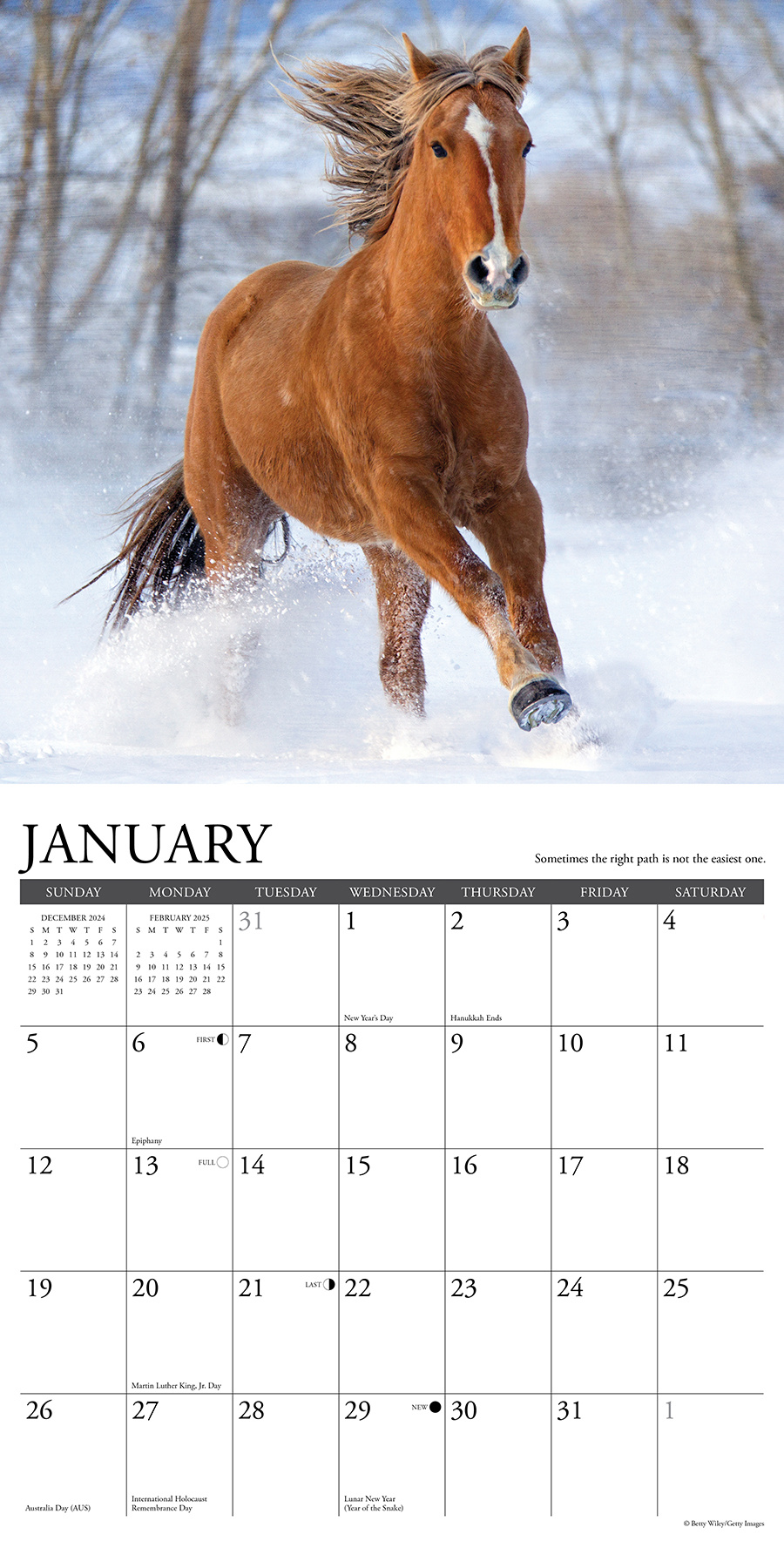 What Horses Teach Us Calendar 2025 Buy Order online easily