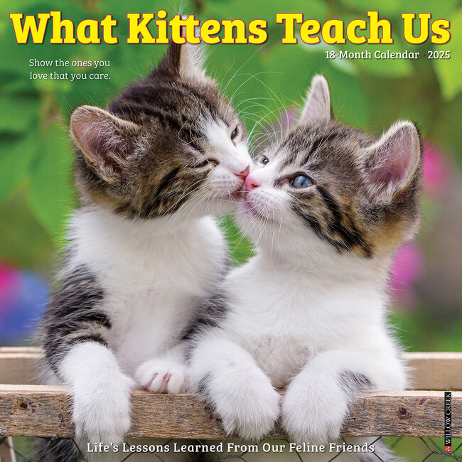 What Kittens Teach Us Calendar 2025