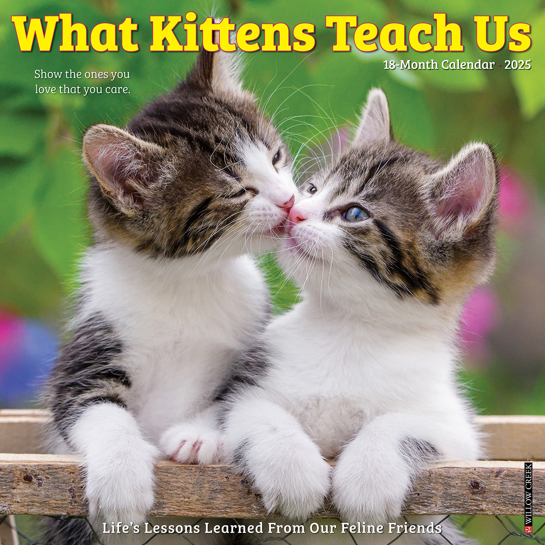 What Kittens Teach Us Kalender 2025