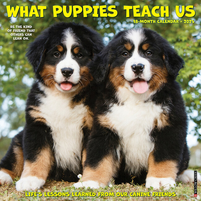 What Puppies Teach Us Calendar 2025