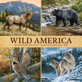 Willow Creek Wild America Kalender 2025