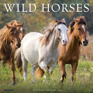 Willow Creek Calendario de caballos salvajes 2025