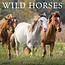 Willow Creek Calendario de caballos salvajes 2025