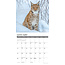 Wildlife Kalender 2025