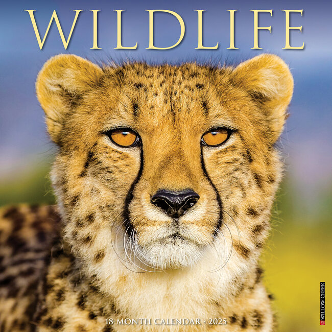 Wildlife calendar 2025