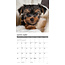 Yorkshire Terrier Puppies Calendrier 2025