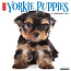 Willow Creek Yorkshire Terrier Cachorros Calendario 2025