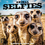 Animales Selfies Calendario 2025