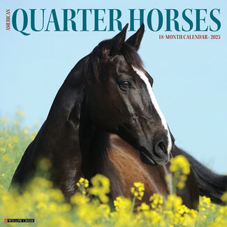 Willow Creek American Quarter Horse Calendar 2025