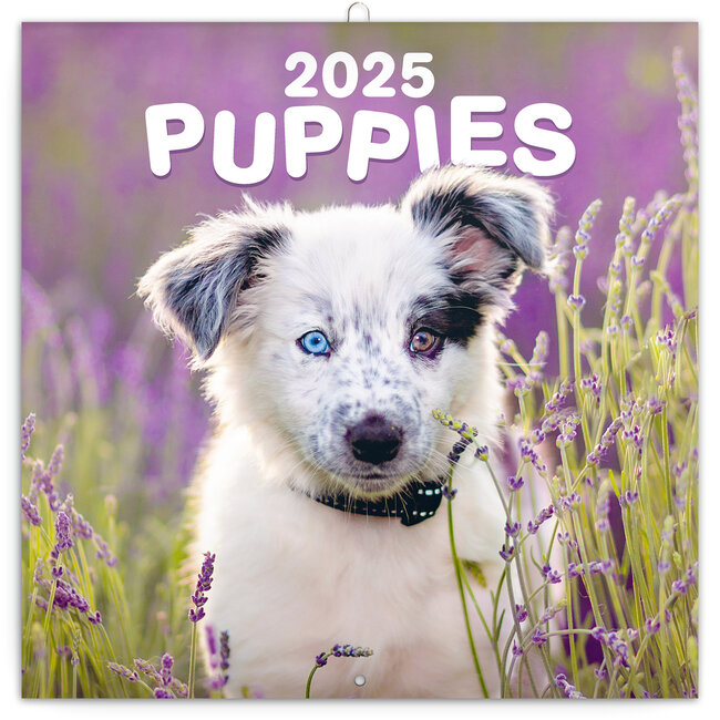 Presco Puppies Calendar 2025