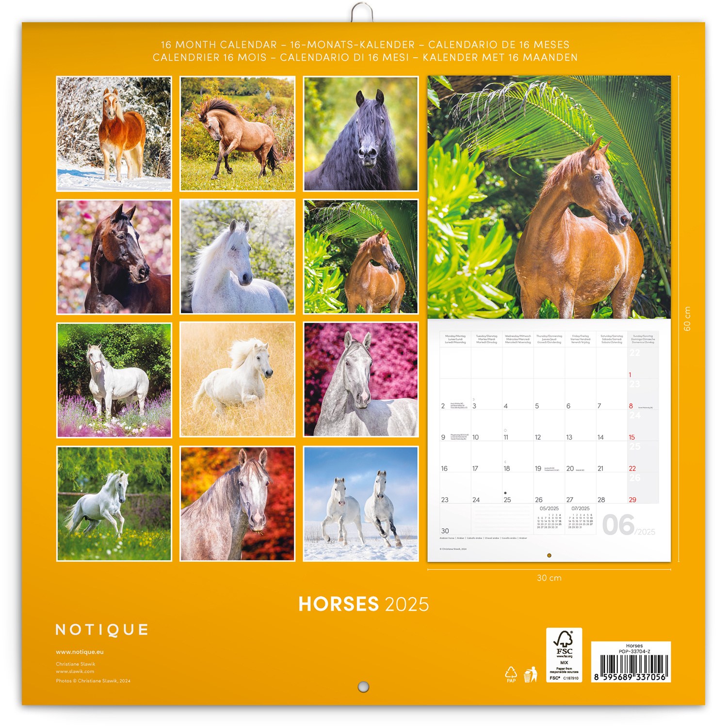 Buying Horses Calendar 2025 simply order online Kalenderwinkel.nl